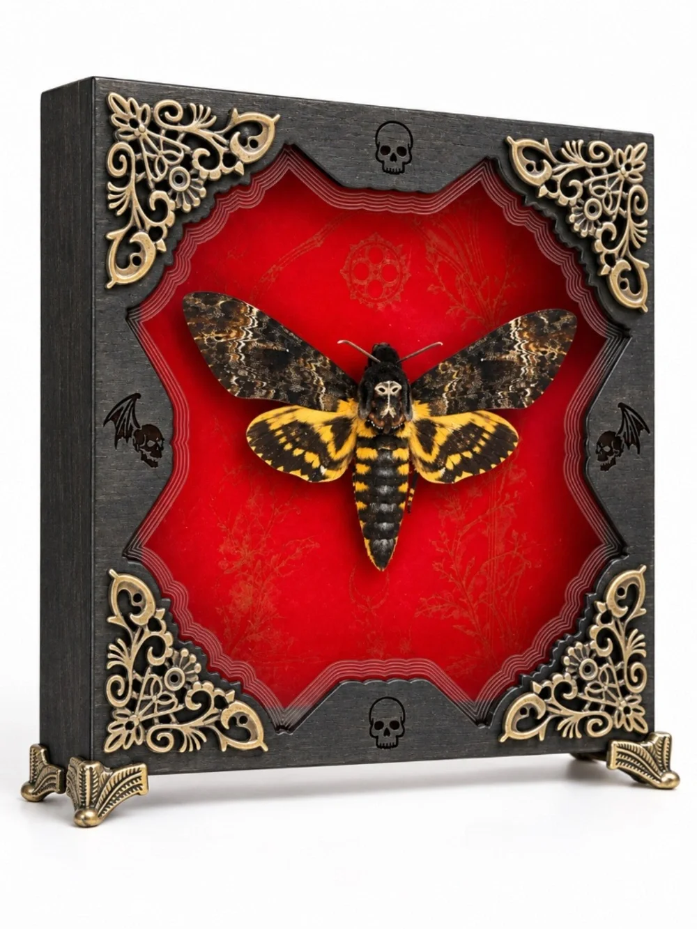 Gothic Moth Shadow Box, Preserved Specimen with Skull and Bat Details
